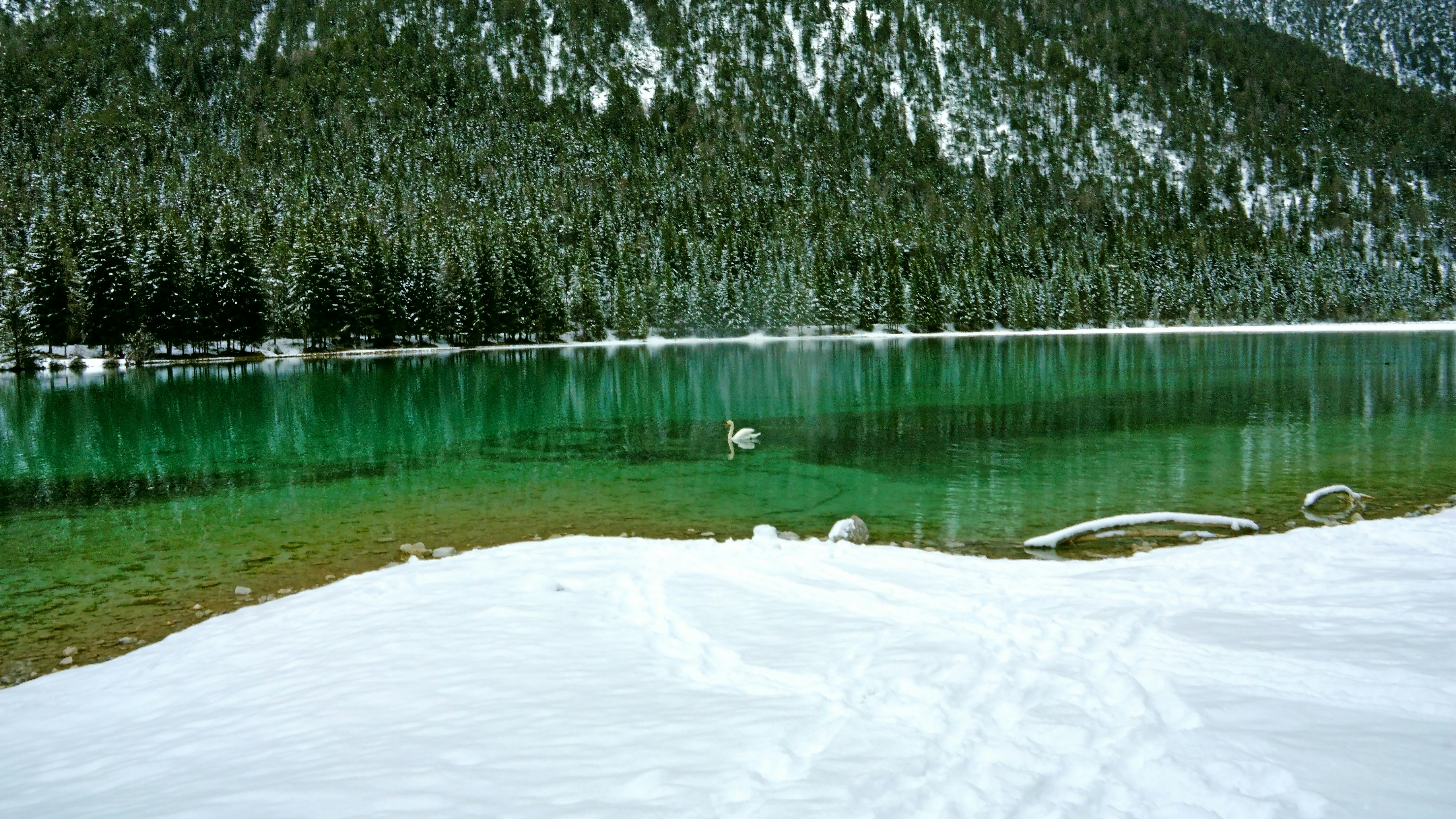 lake with snow near trees and mountain