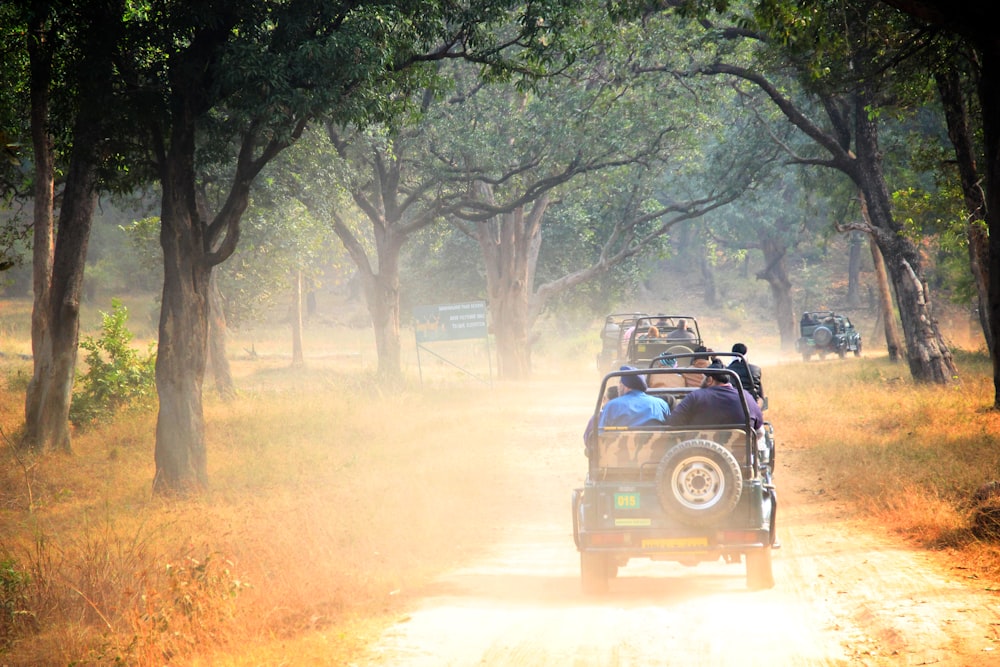 four vehicles running on rough road inline of trees during daytime