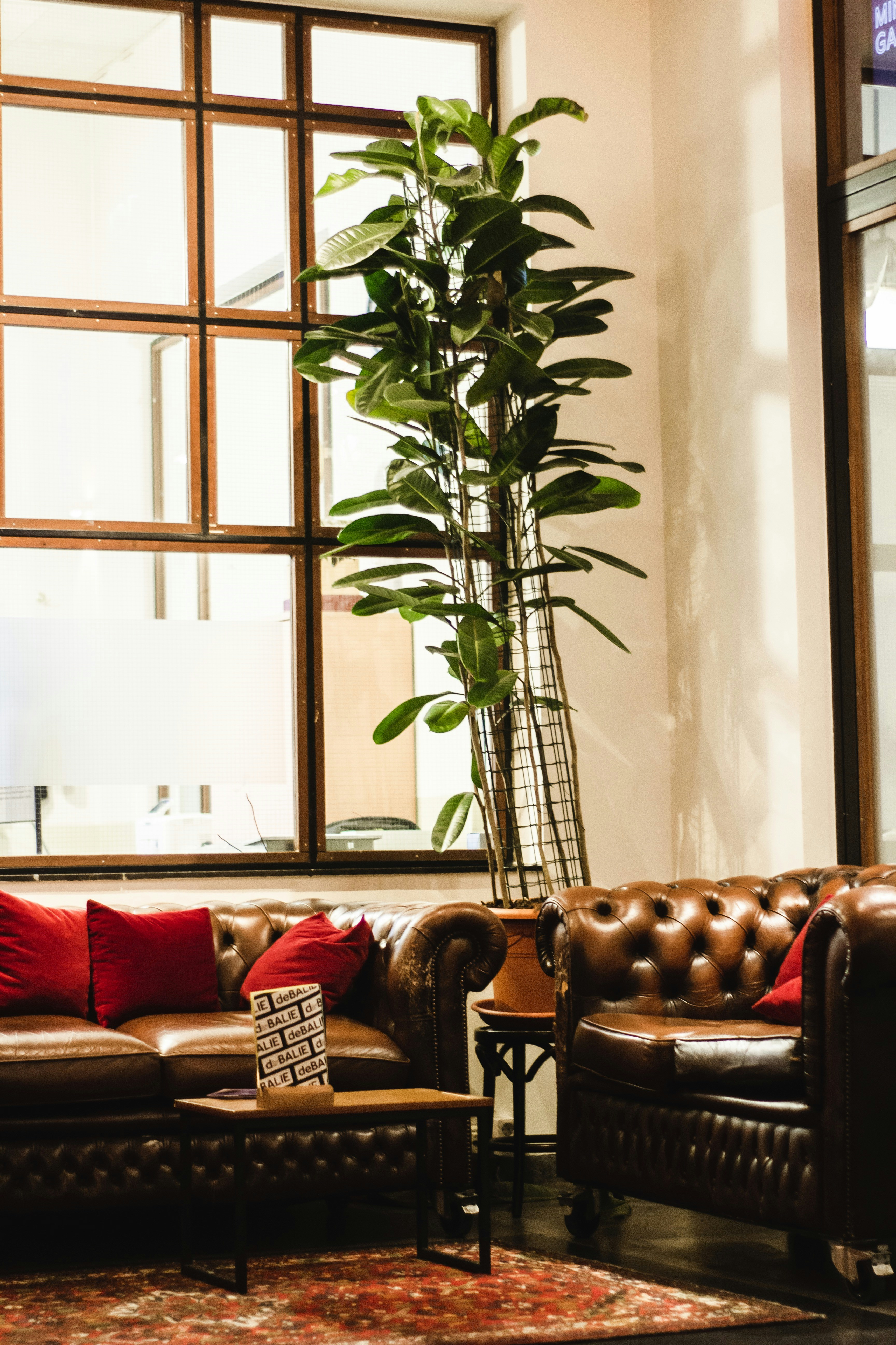 Photo by louishansel