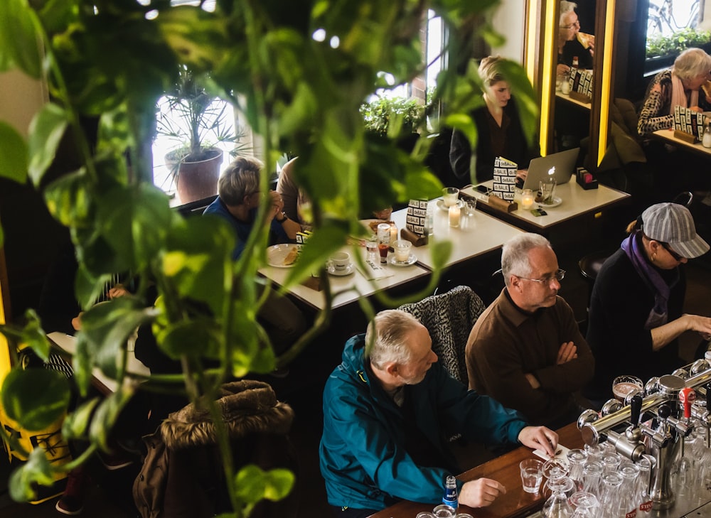people sitting by the table at cafe with hanging green indoor plants
