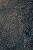 an aerial view of a river running through a forest