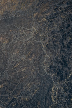 Screenshot showing an intricate level design featuring multiple pathways and hidden spots.