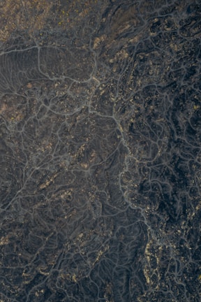 an aerial view of a river running through a forest