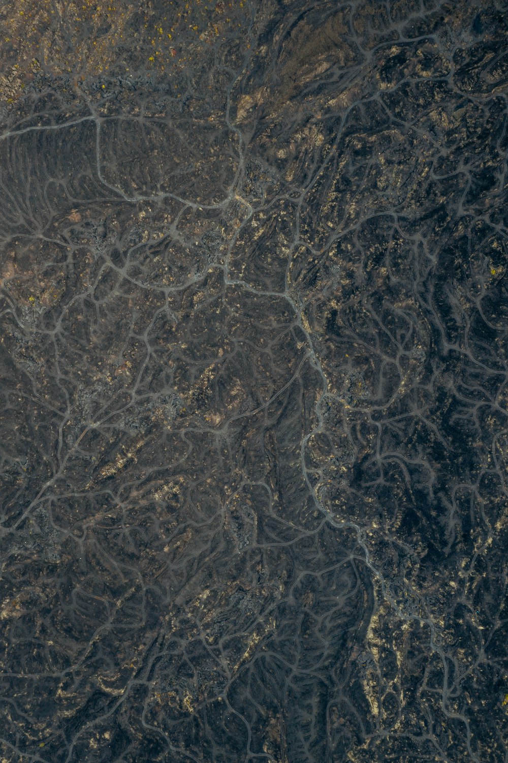 una veduta aerea di un fiume che attraversa una foresta