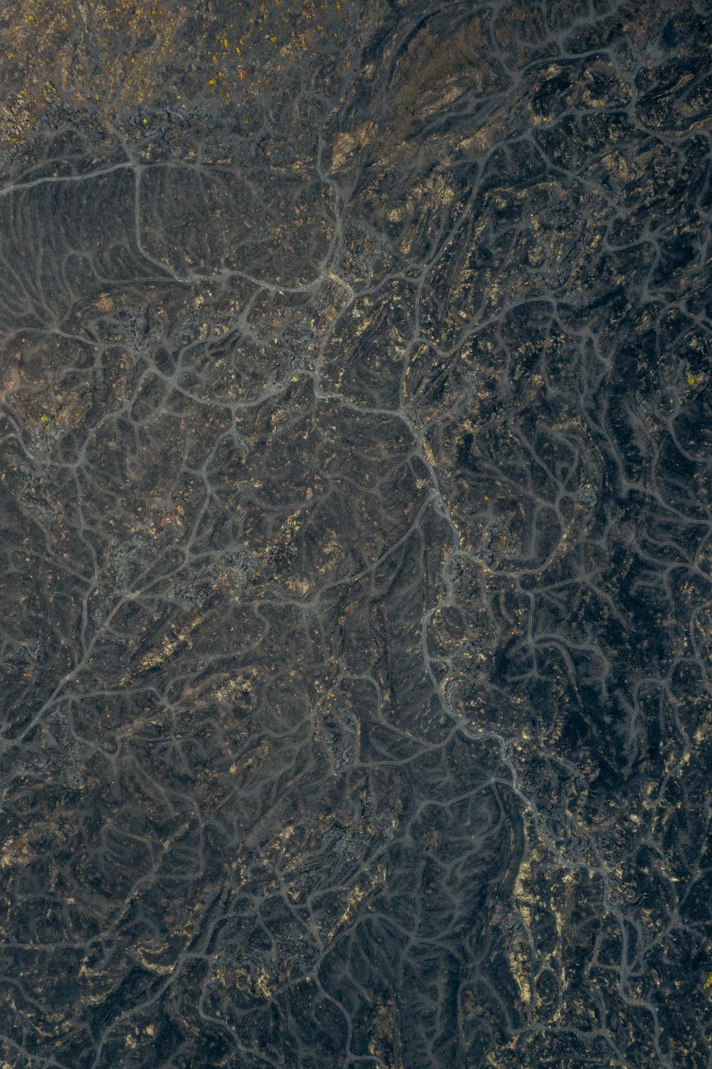 an aerial view of a river running through a forest