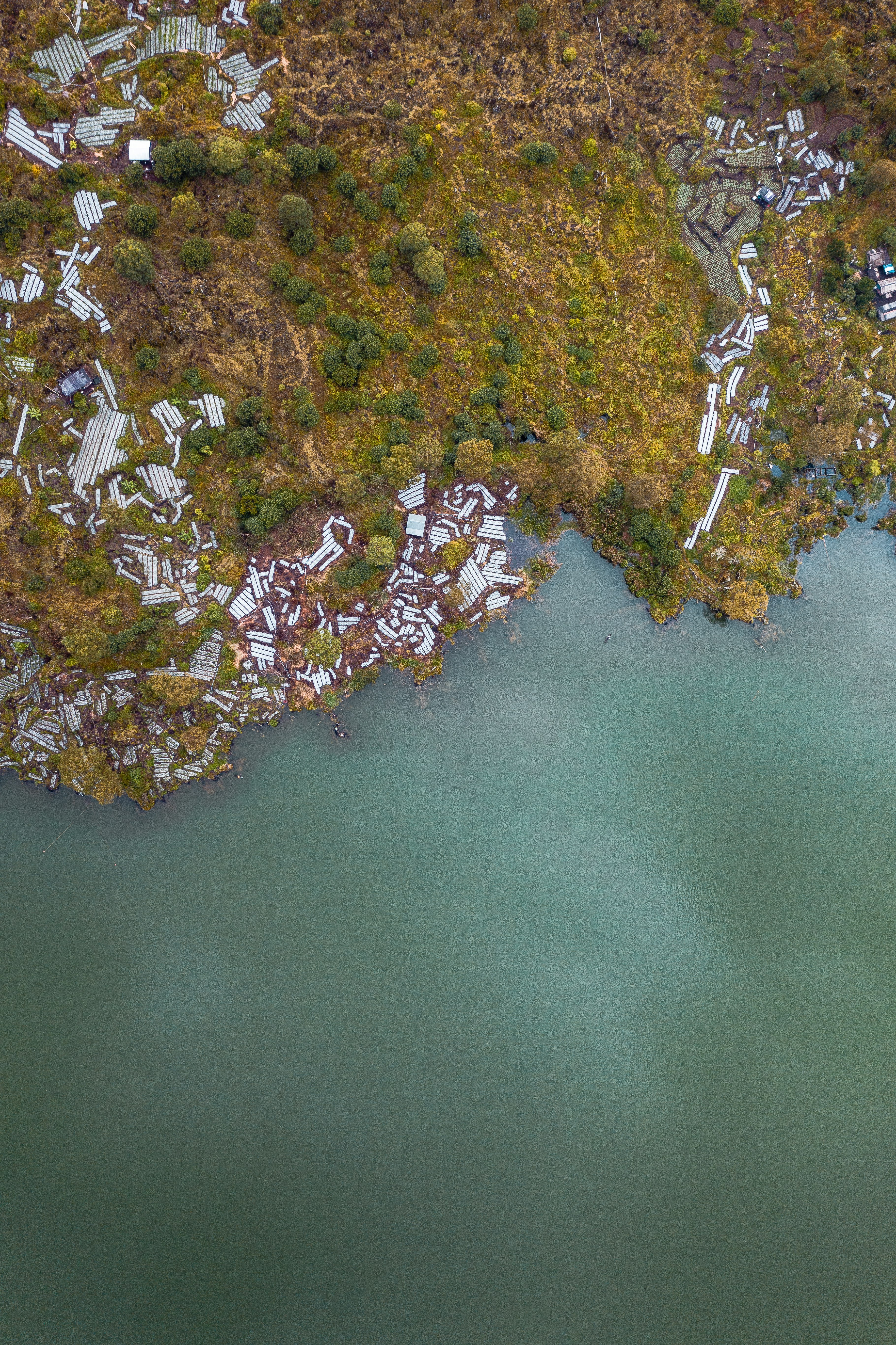 aerial photo of island