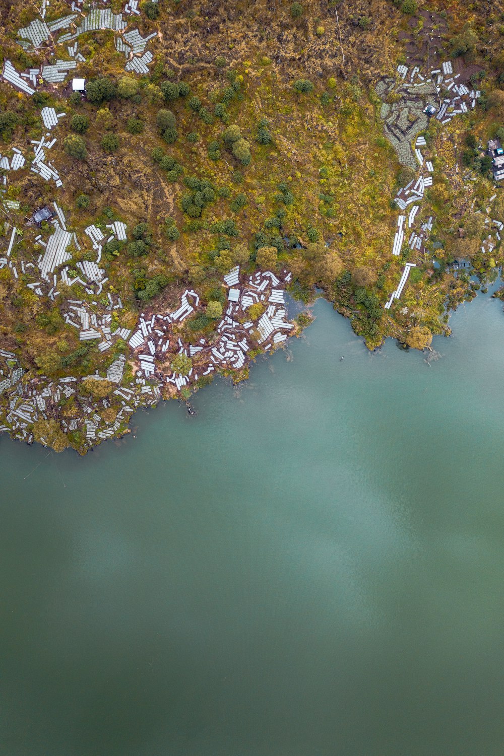 aerial photo of island