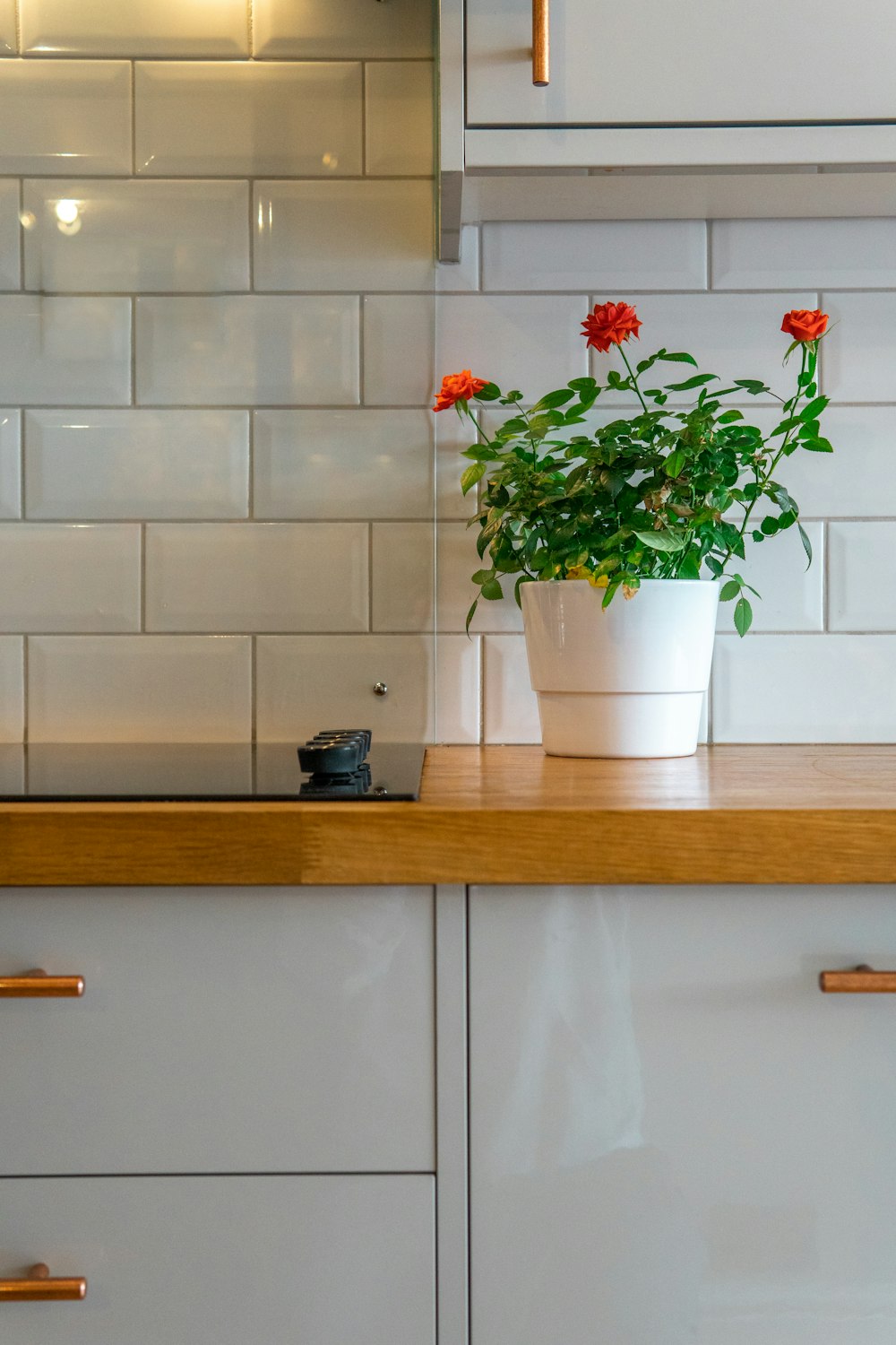 white vase with red flower plant