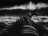 A monochromatic image capturing a dynamic scene where a flock of birds is taking flight above a tumultuous sea. The silhouette of the birds is contrasted against large crashing waves in the background, lending a dramatic effect. The foreground features part of a pipeline or similar structure leading into the water.