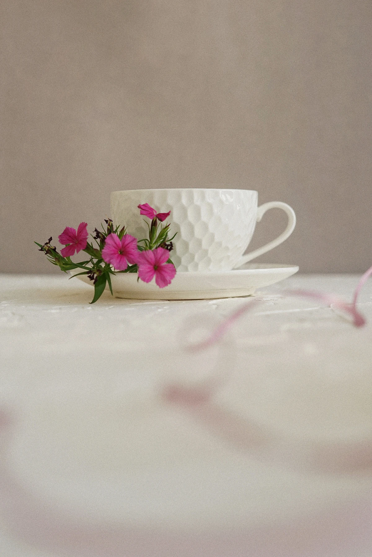 Rosé Tea Ceremony