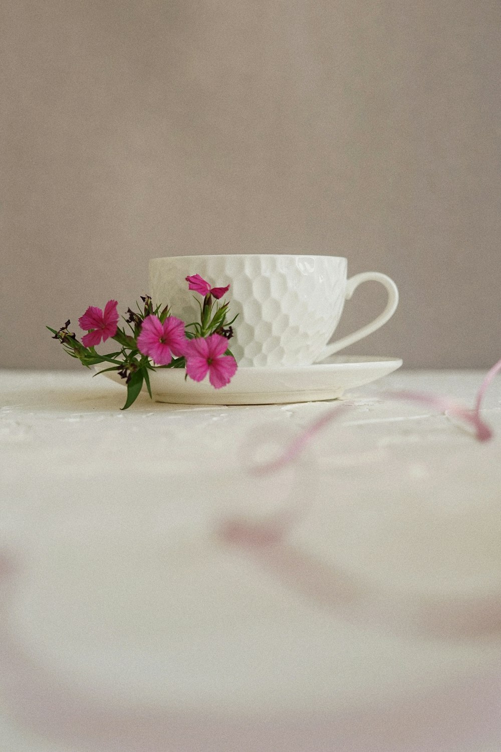 Teetasse aus weißer Keramik auf Untertassenteller
