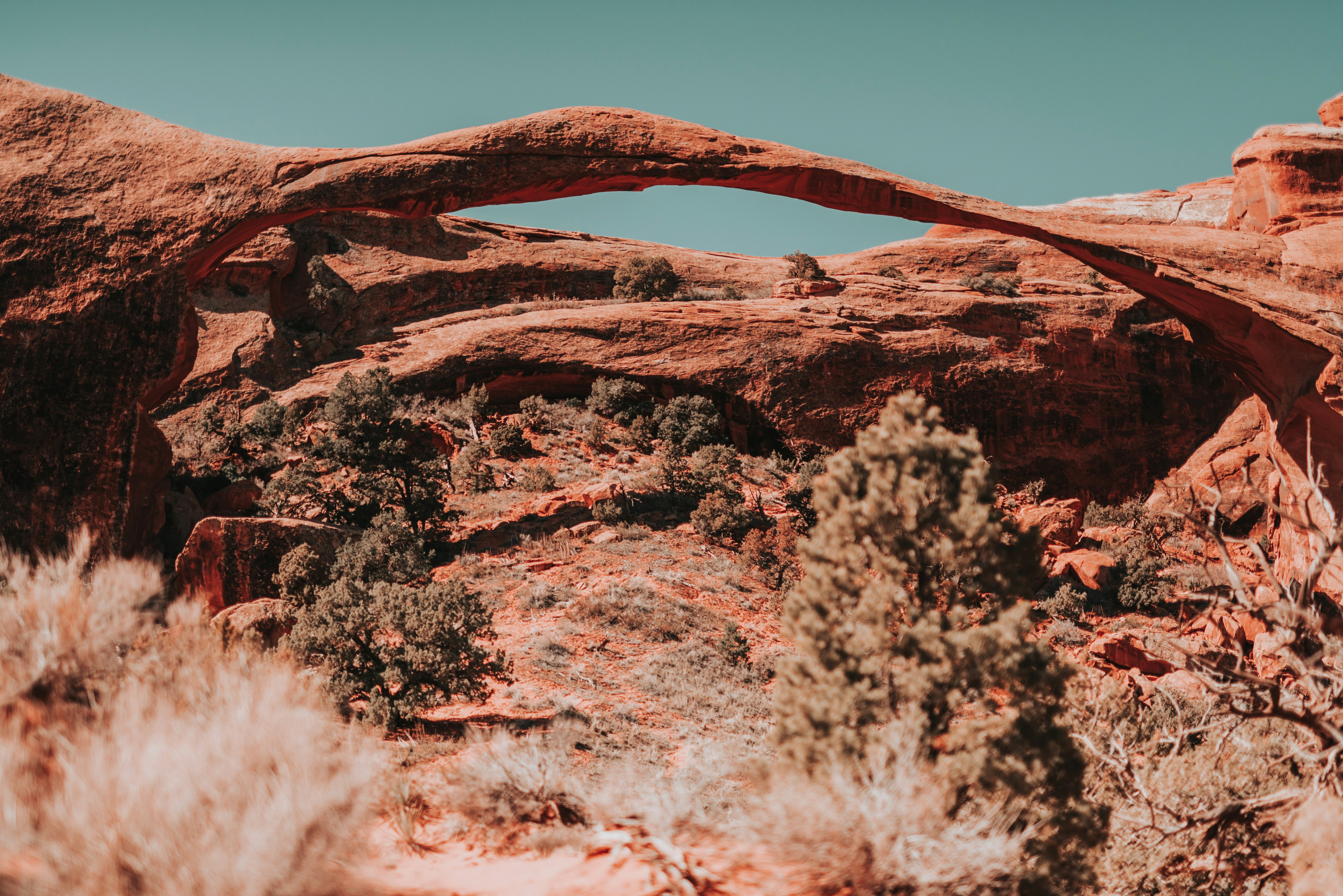 Photo by seitamaaphotography