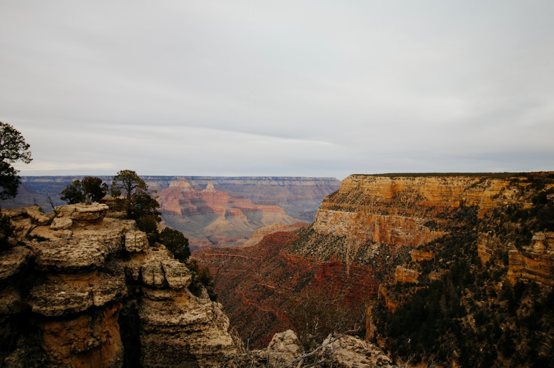 high angle photography of Grand Canyon during daytime