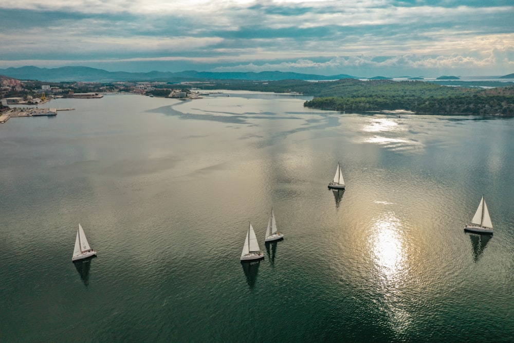 Cinque barche a vela che navigano su uno specchio d'acqua