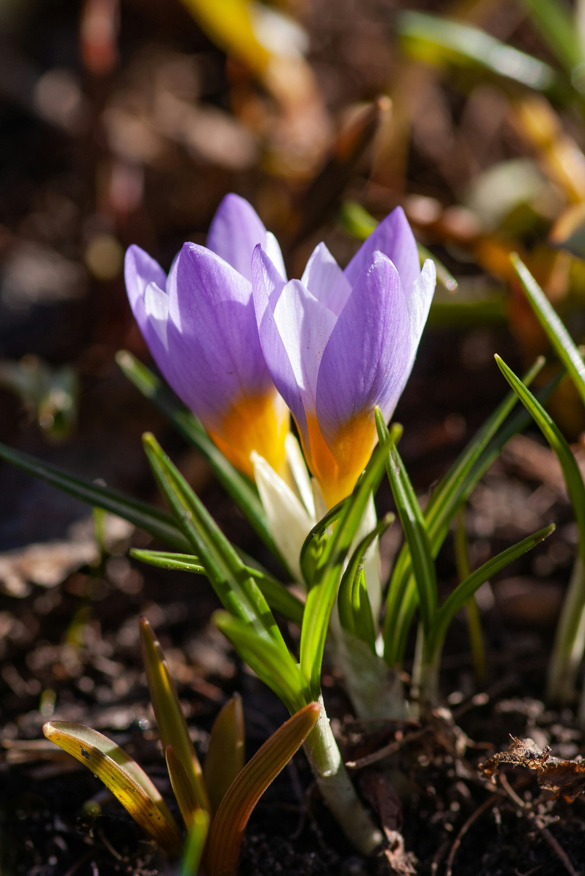 Neues Leben - unverhofft