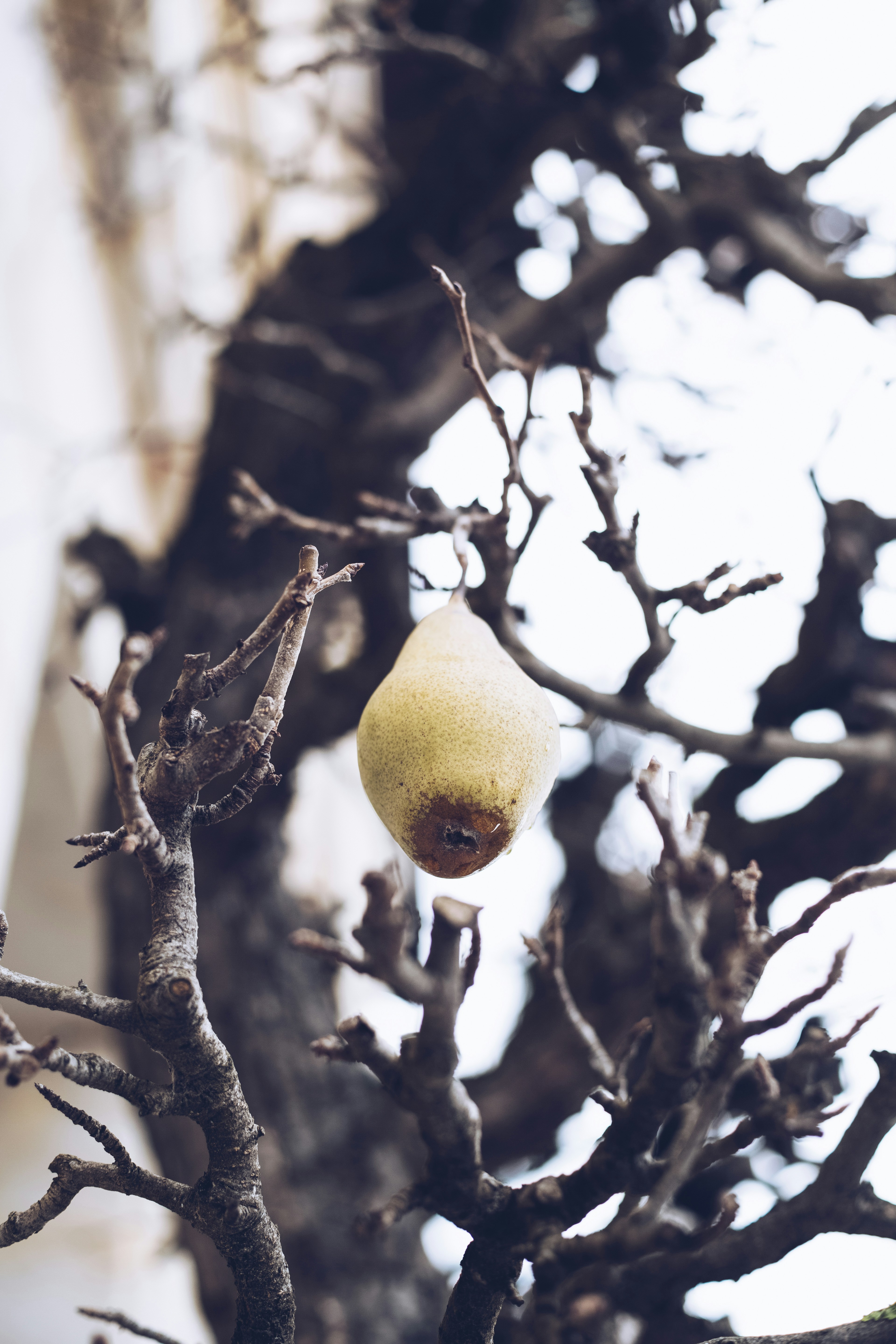 Made with Canon 5d Mark III and HD photo by Markus