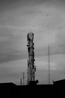 grayscale photography of flock of birds flying over the crane tower