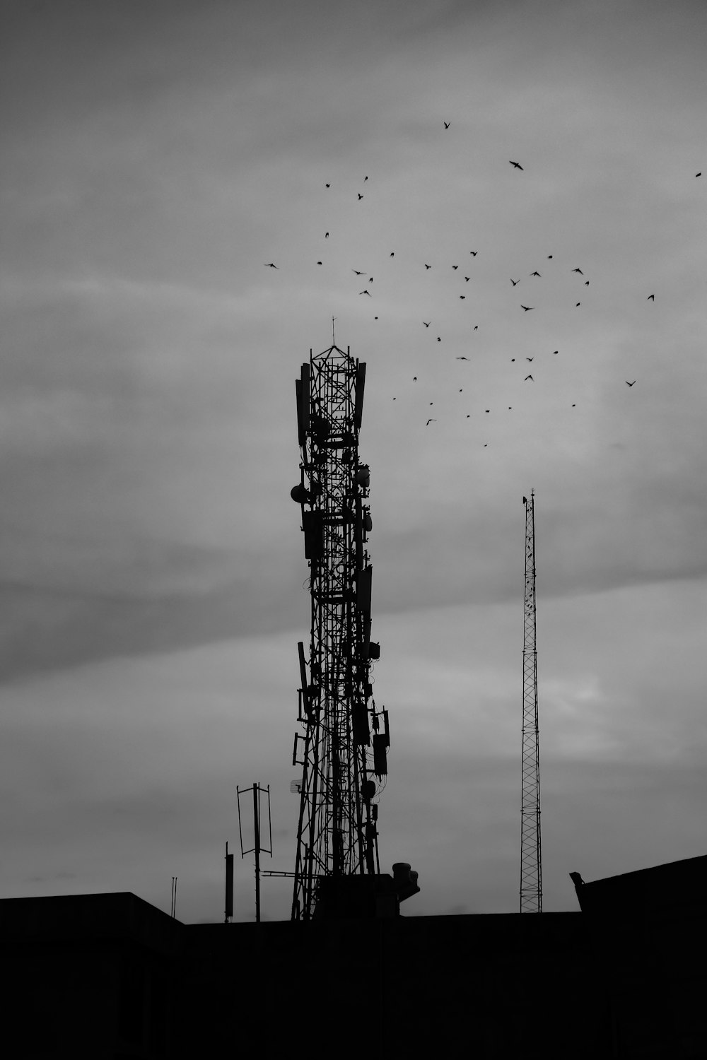 Fotografía en escala de grises de bandada de pájaros volando sobre la torre de la grúa
