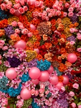 assorted flowers