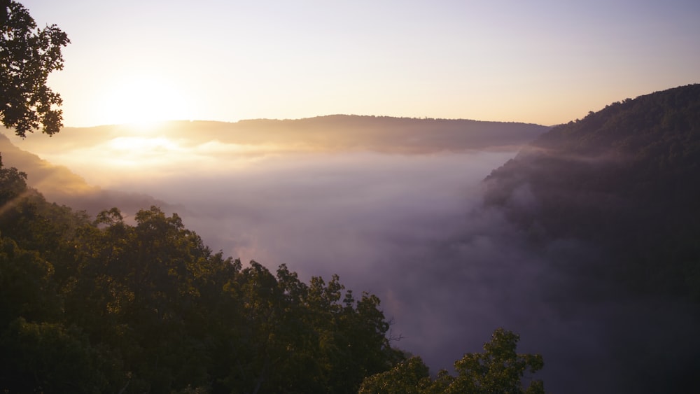 mountain covered with fogs view