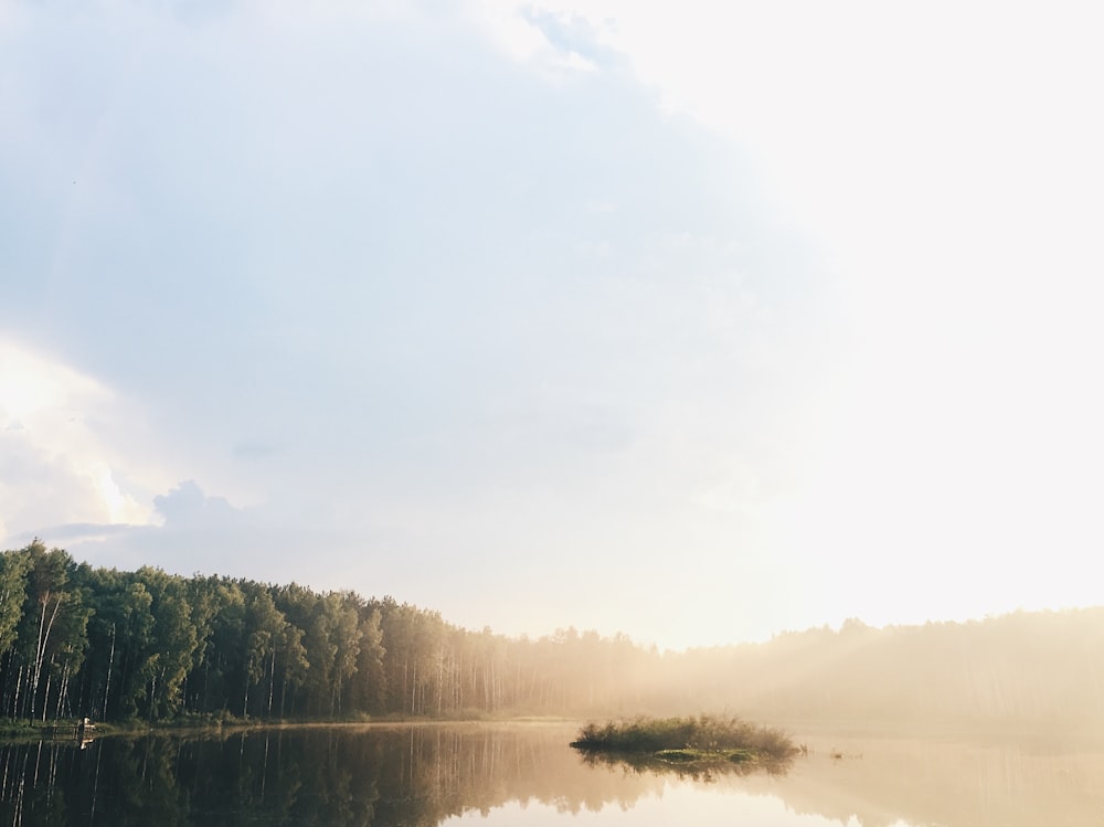 See in der Nähe von hohen und grünen Bäumen unter weißem Himmel