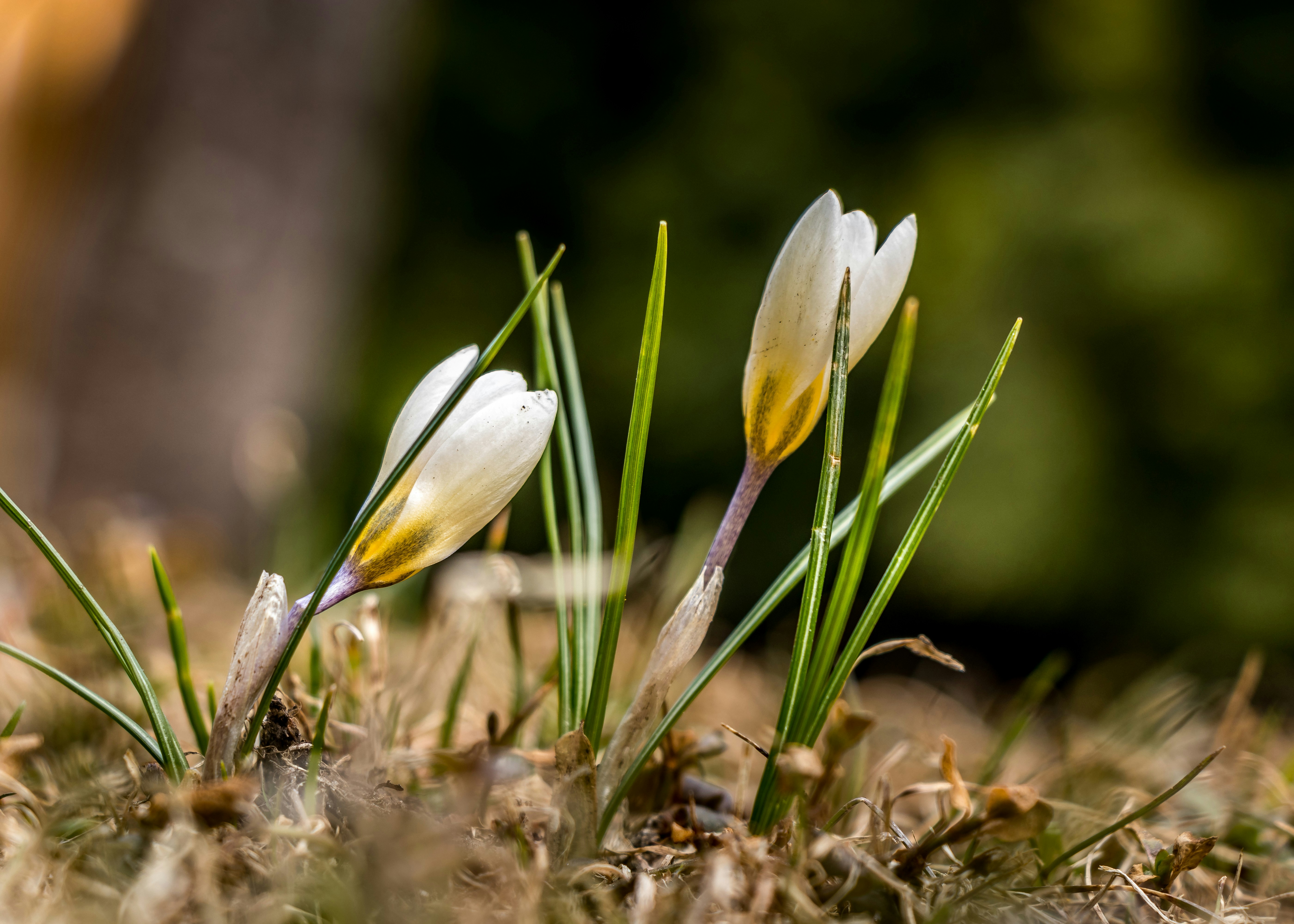 Photo by nextvoyage_pl