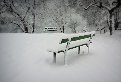 green bench covered with snow