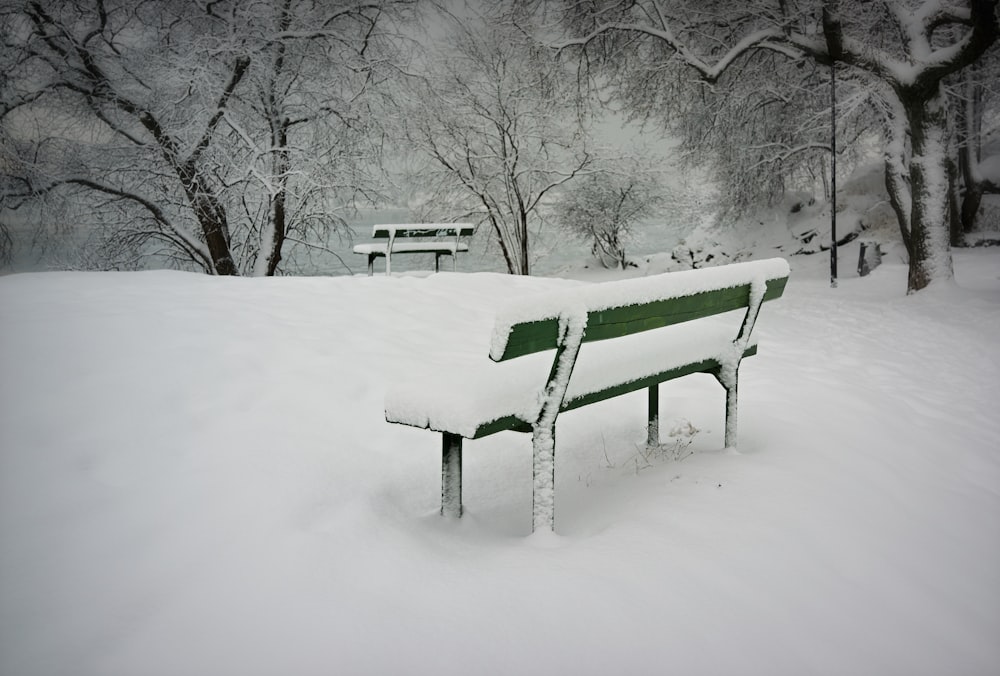 green bench covered with snow