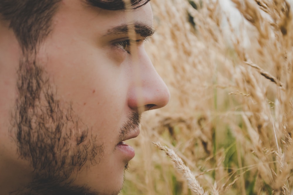 bearded man in brown grass field