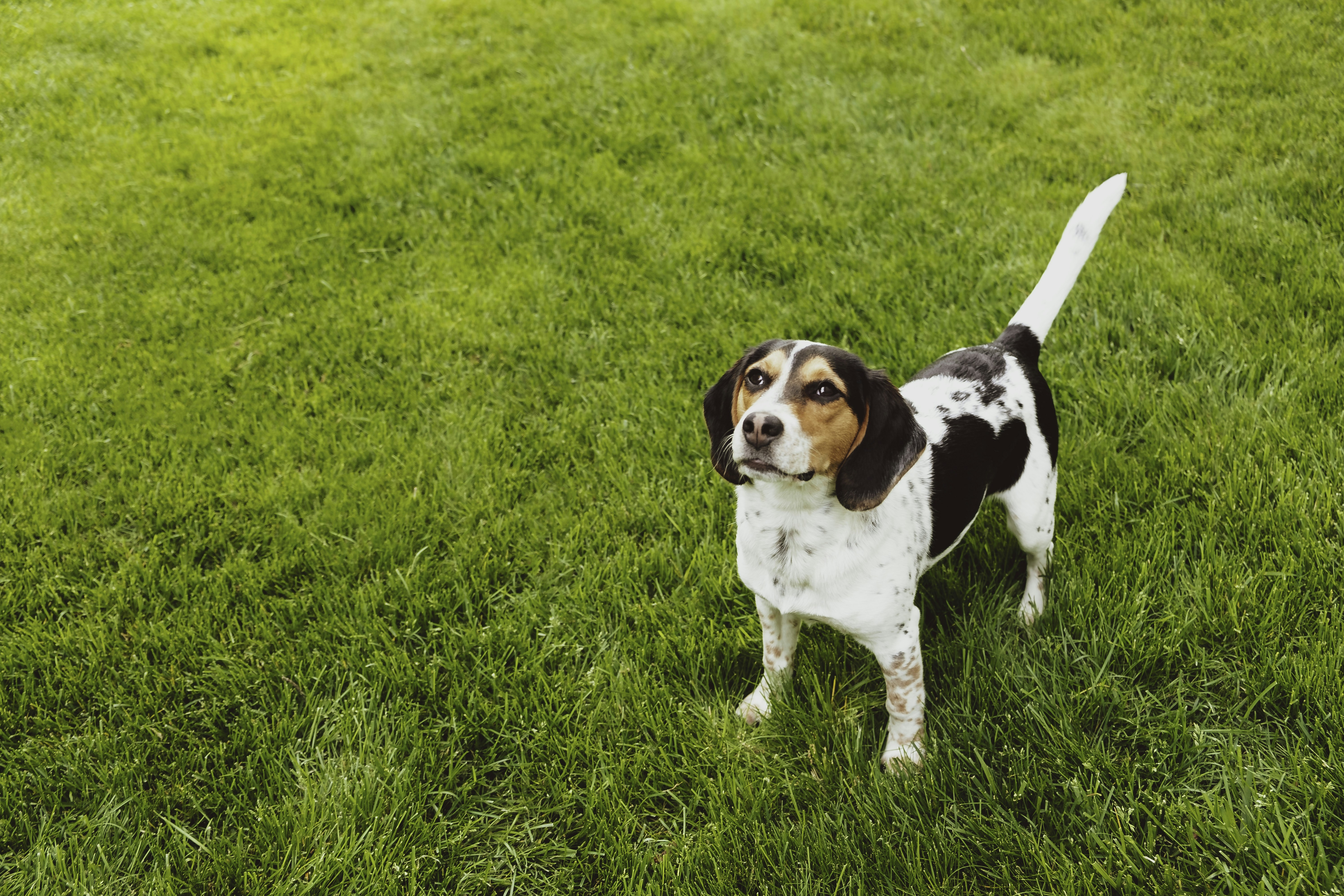 Boosting Bone Health Through Sunlight