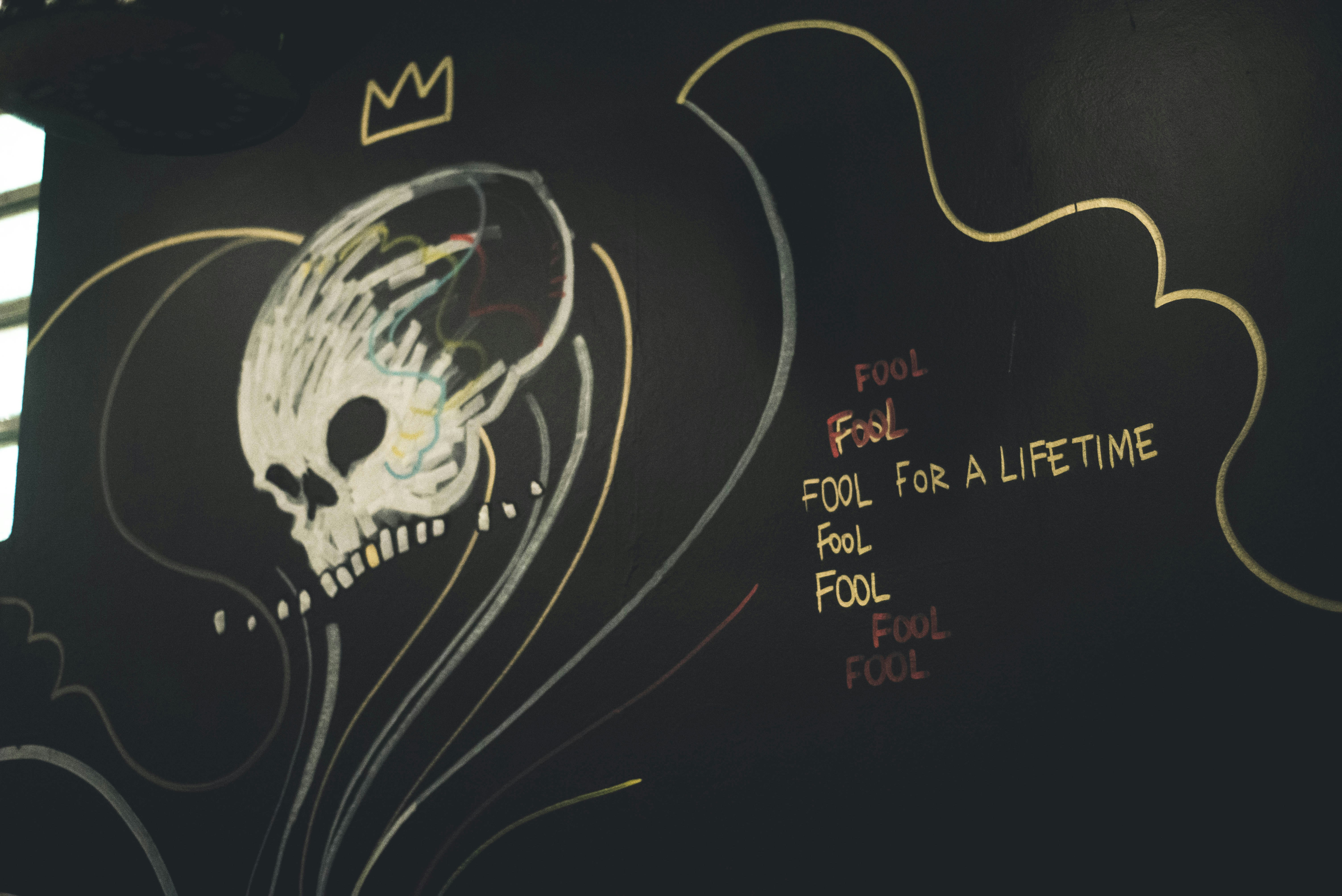 White skull wall art photo Free Grey Image on Unsplash