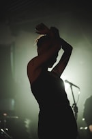 Subtle silhouette of a musician lost in the moment during a live performance.