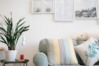 two assorted-color throw pillow on sofa beside potted plant