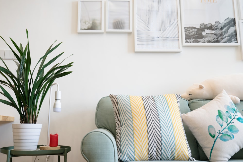 two assorted-color throw pillow on sofa beside potted plant