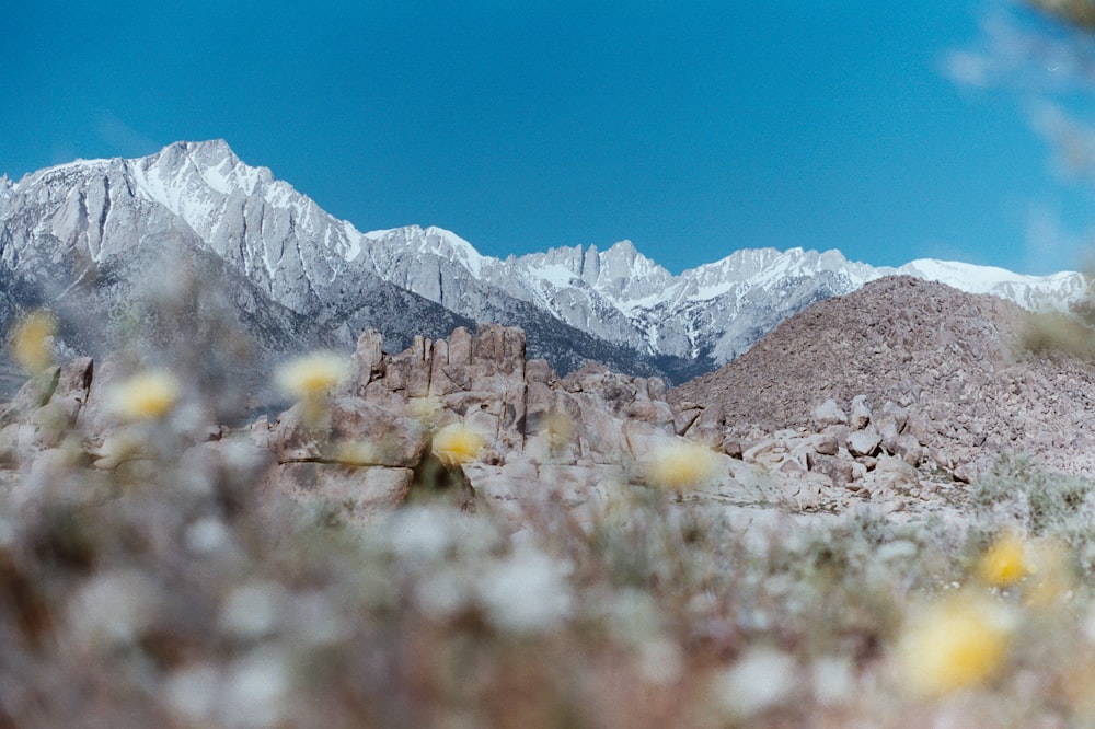 selective focus photography of rocky mountain during daytime