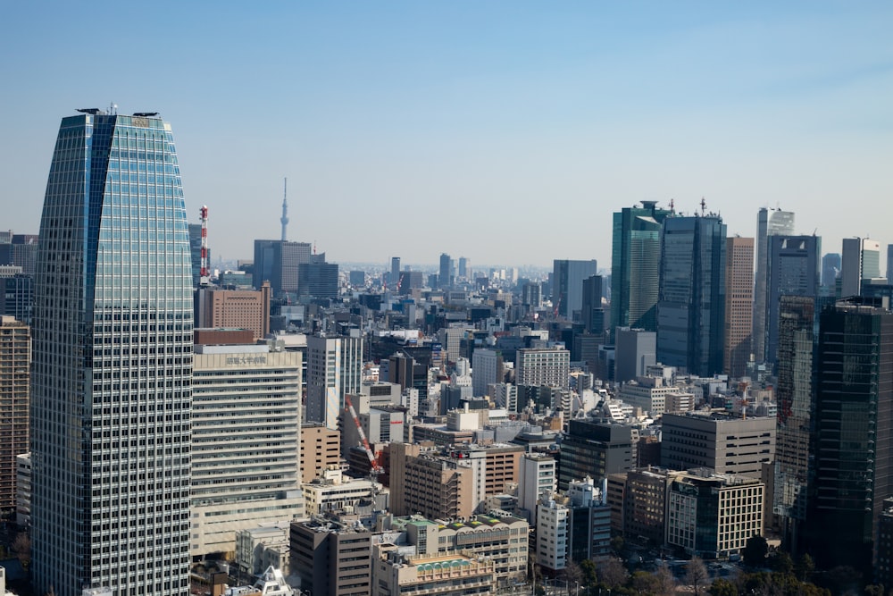 aerial photography of city buildings