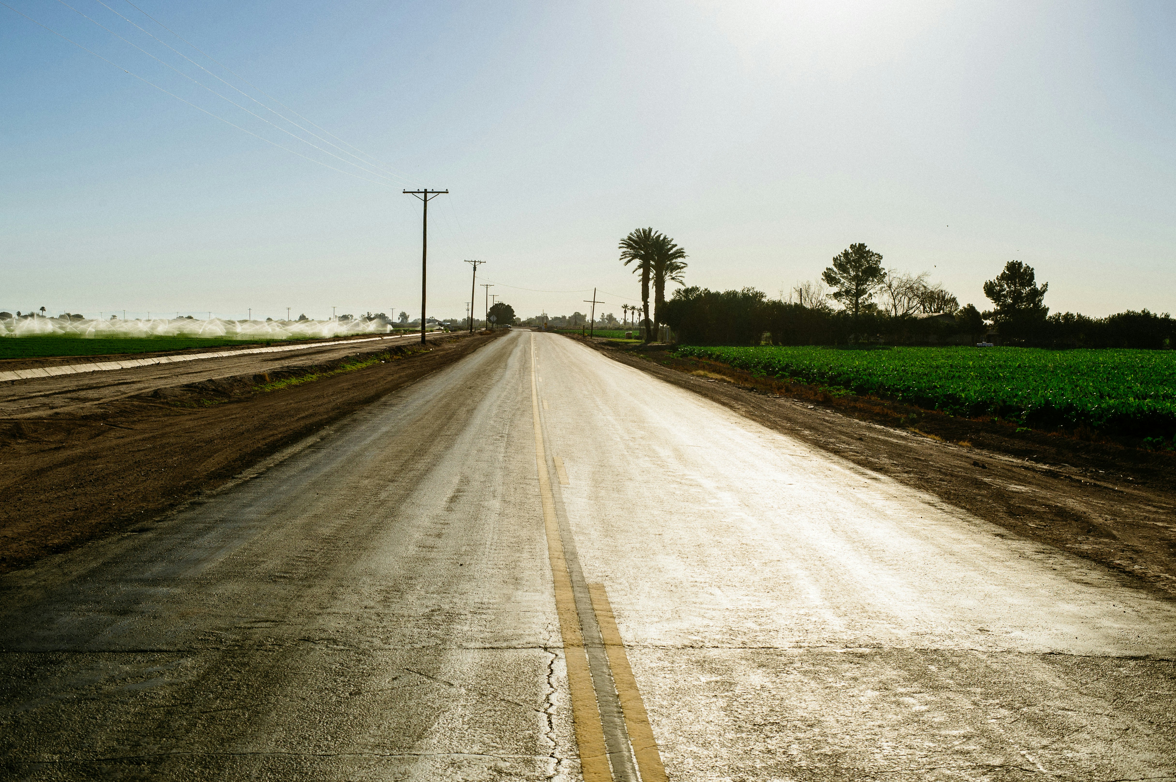 Sawah Produktif di Dekat Irigasi, Subang - view 2