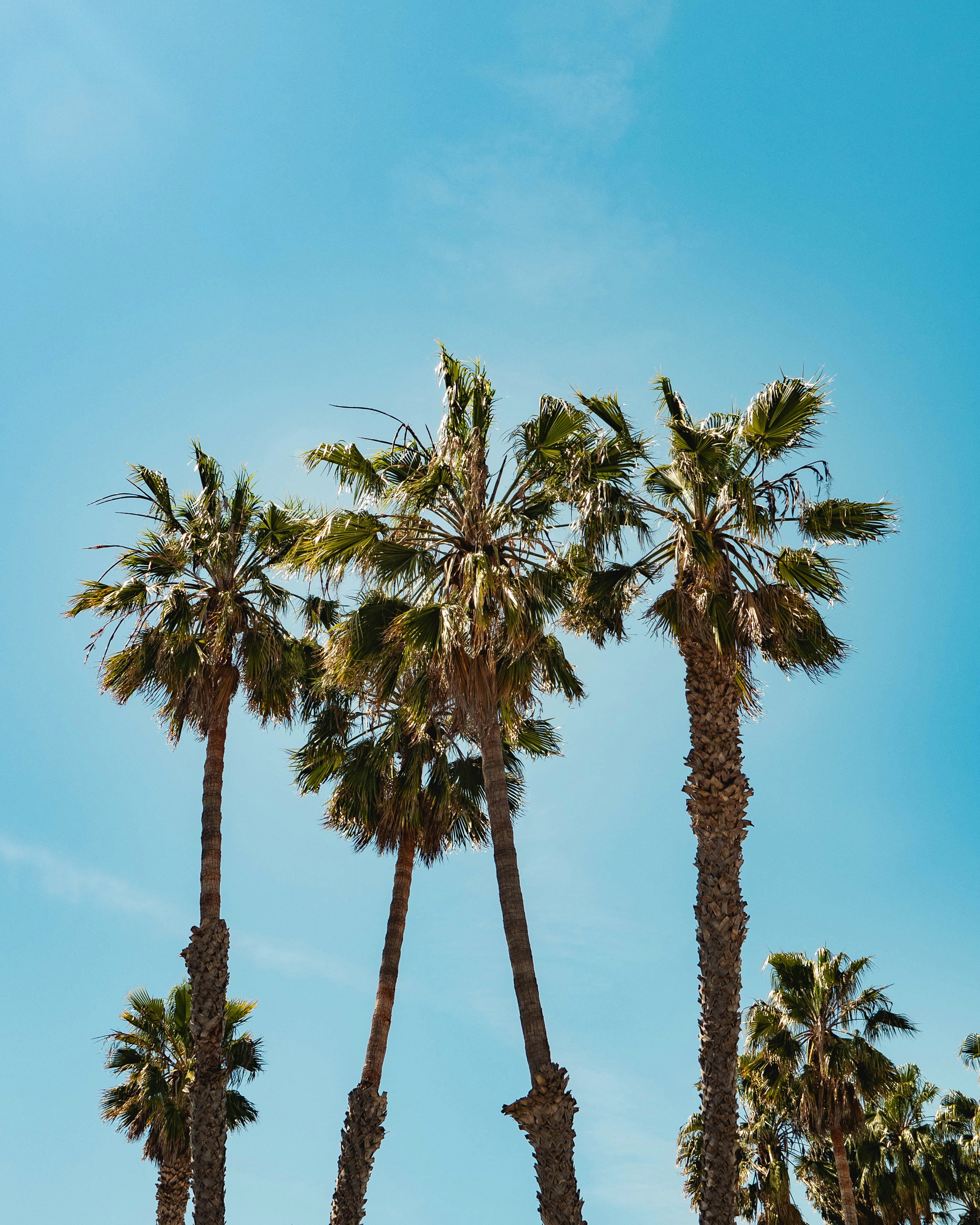 Photo by rahulbhogal