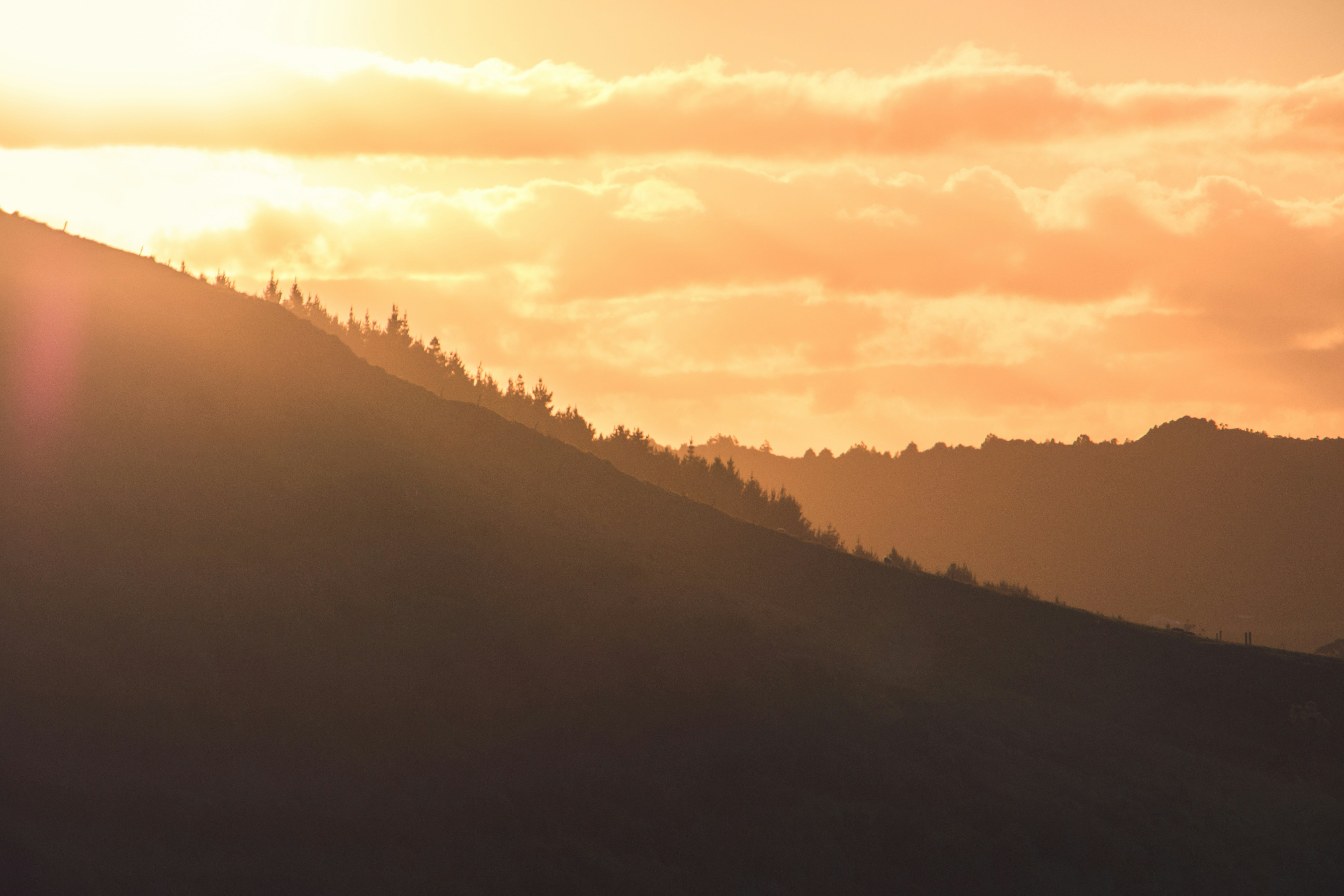 Photo by ivansanford