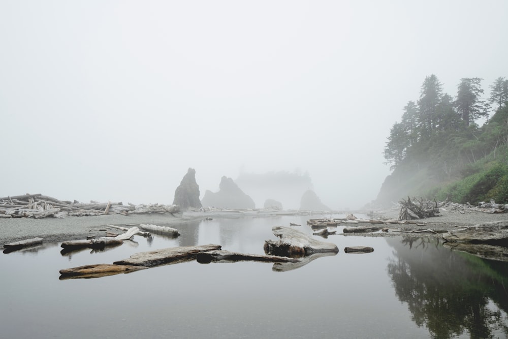 foggy moutnain scenery