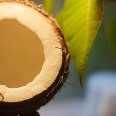 A close-up view of a halved coconut with a rough, brown exterior and a smooth, white interior. There is a green leaf positioned in the background.