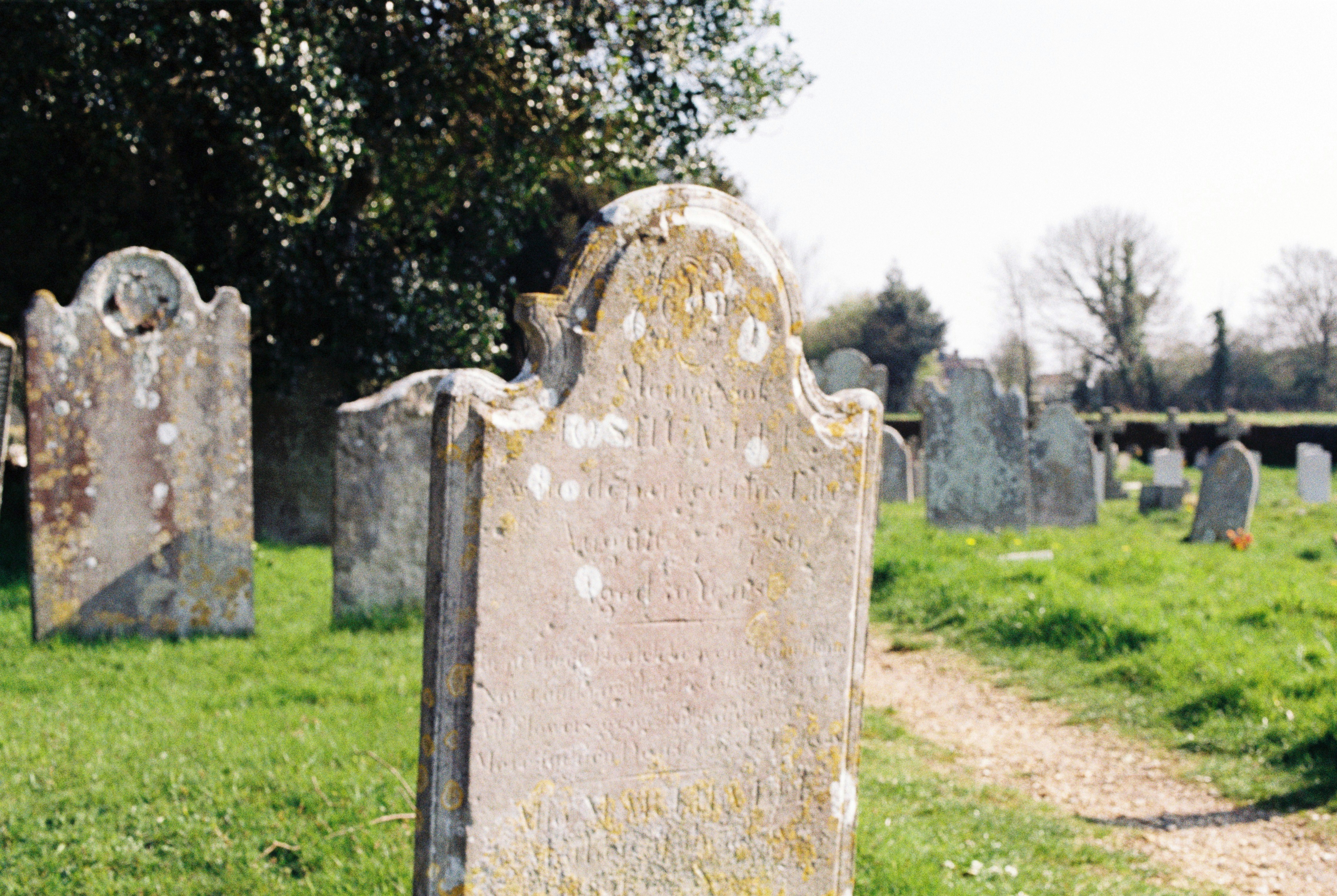 Photo by anniespratt