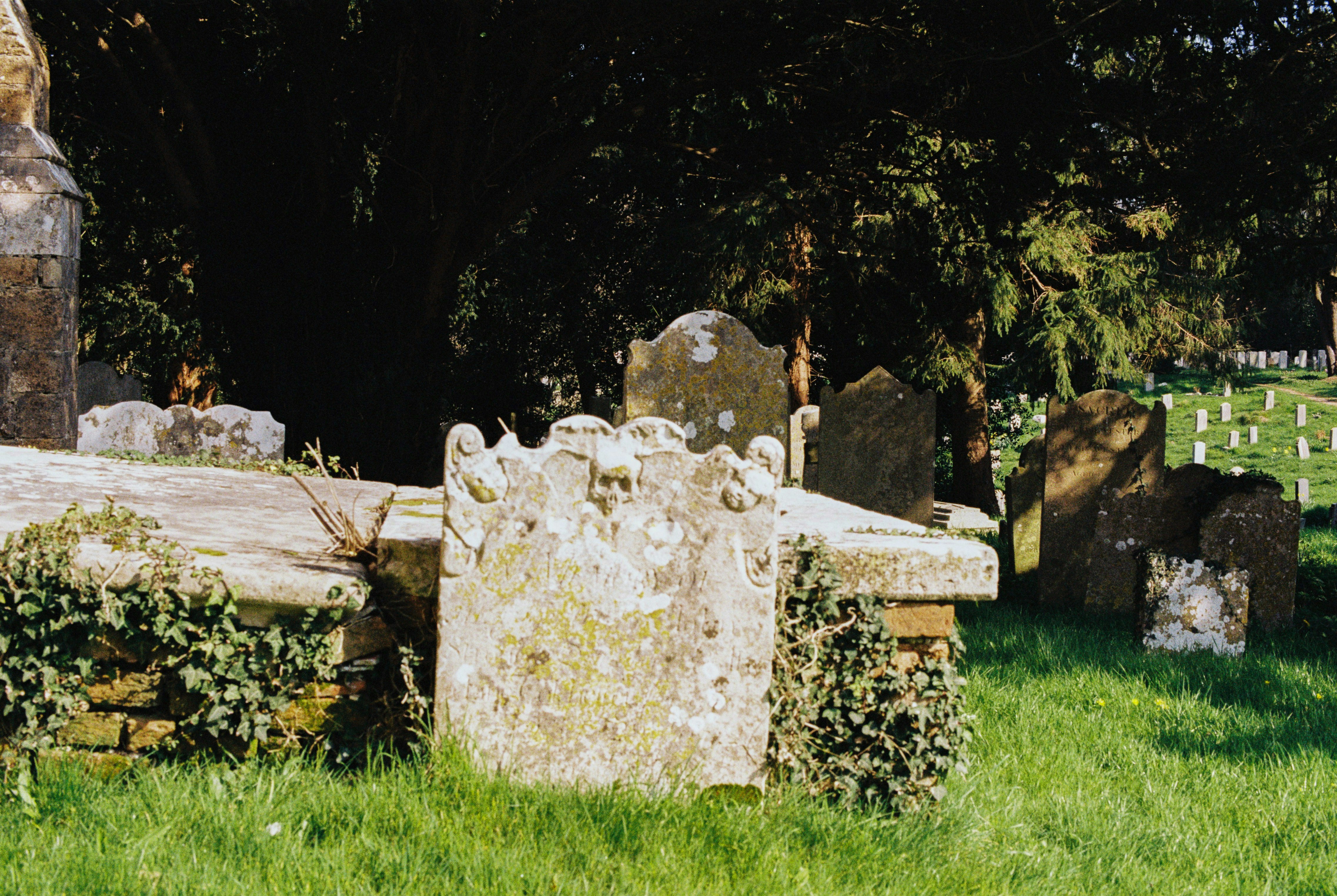 35mm film scan