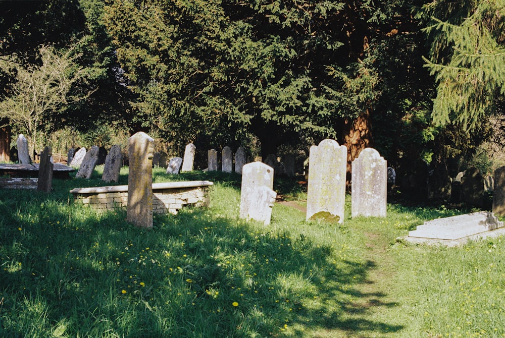 graveyard view during daytime