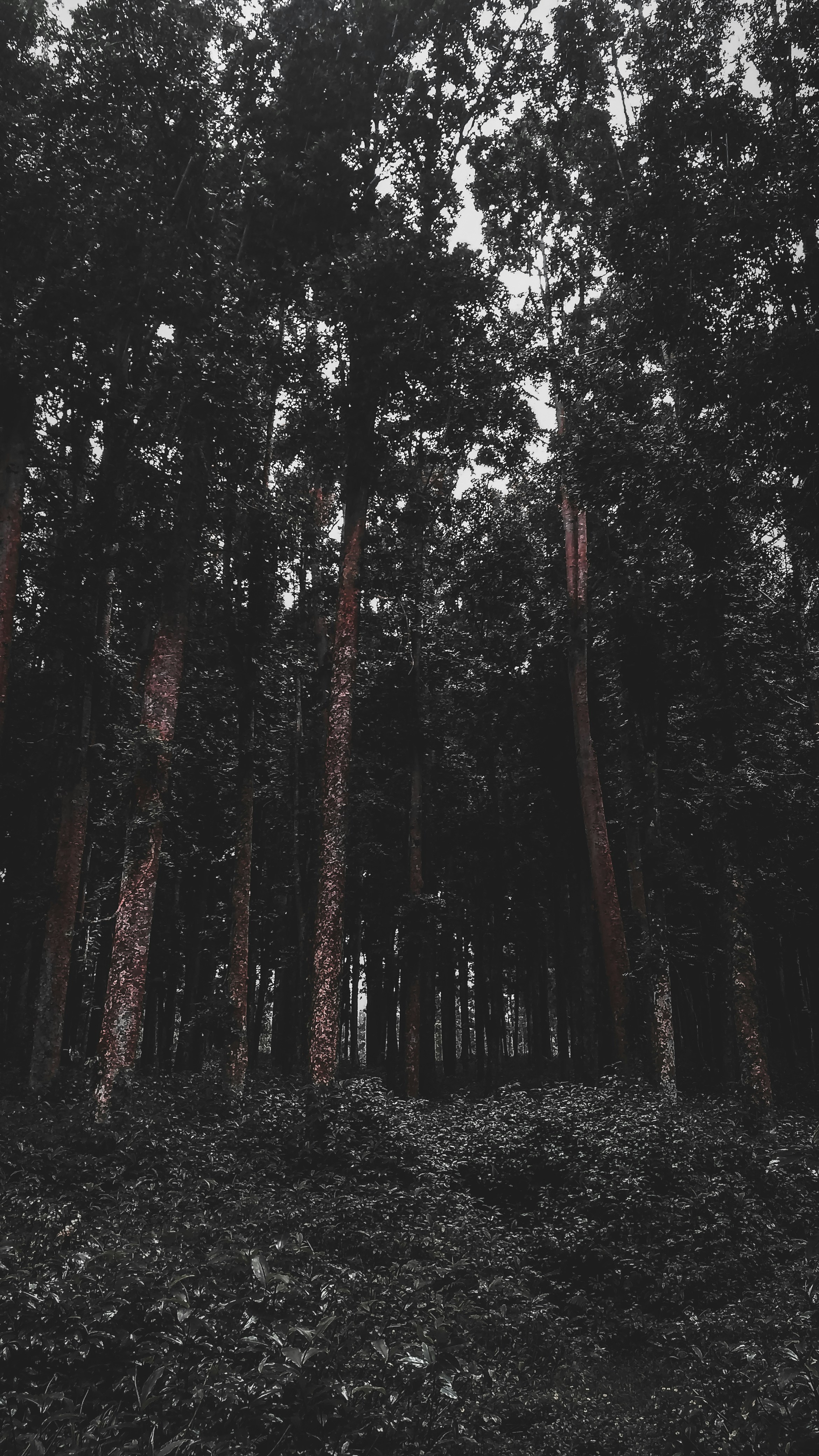 Photo by ozzamtovlog1