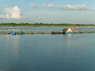A thriving fish farm with aeration pumps bubbling in clear water