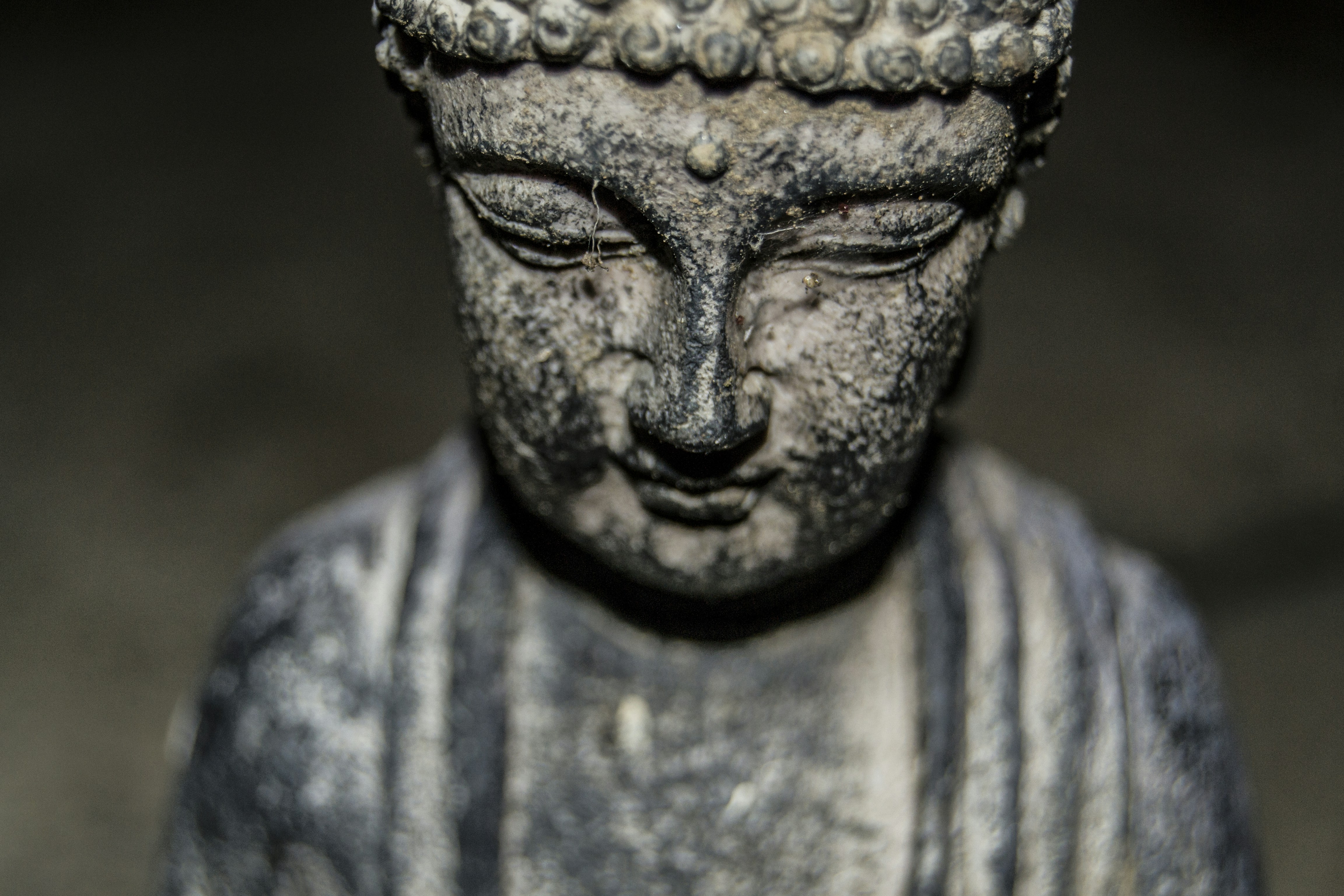 Photo by shannonmcc413