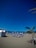 A sandy beach is populated with numerous blue sunbeds and umbrellas, surrounded by people enjoying the sunny weather. A striped beach cabin with the number 9 is visible on the left side. A palm tree is prominent on the right, providing a tropical atmosphere. The sky is clear and bright blue, and the ocean waves gently reach the shore.