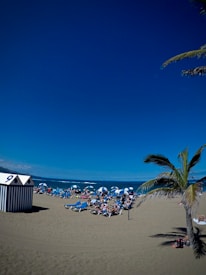 A sandy beach is populated with numerous blue sunbeds and umbrellas, surrounded by people enjoying the sunny weather. A striped beach cabin with the number 9 is visible on the left side. A palm tree is prominent on the right, providing a tropical atmosphere. The sky is clear and bright blue, and the ocean waves gently reach the shore.