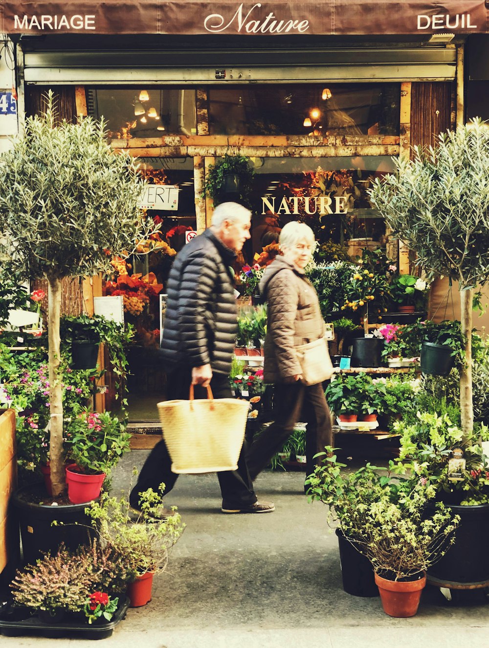 man and woman walking between plants